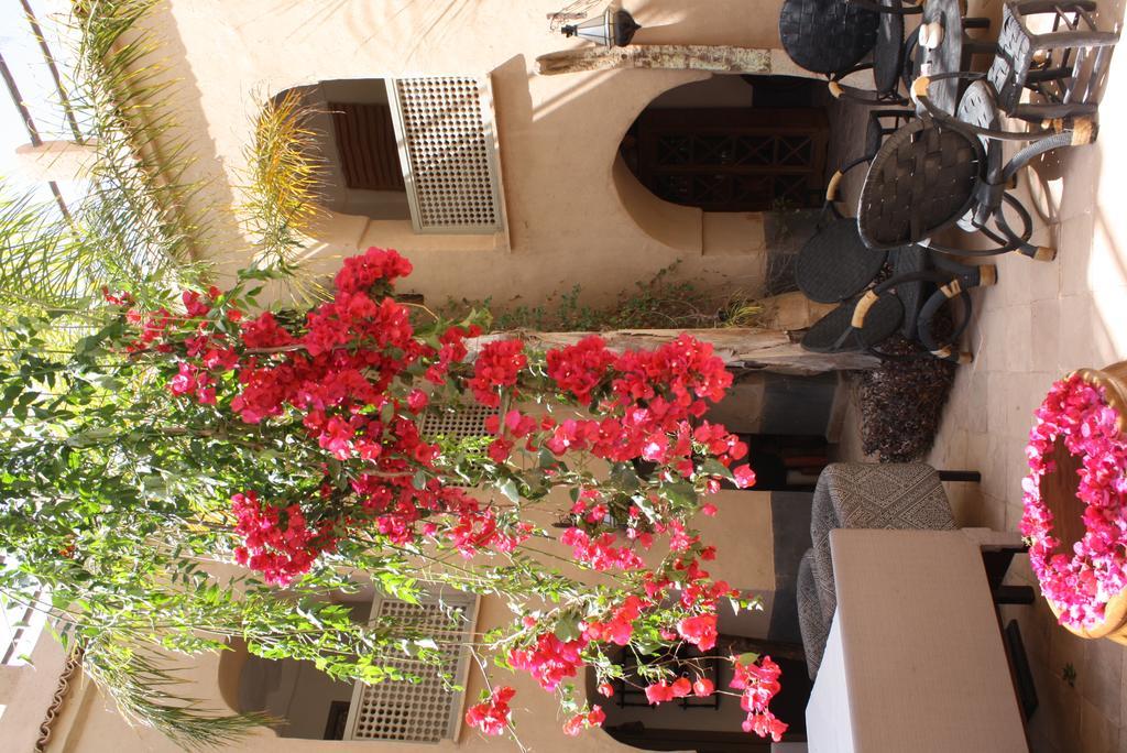 Riad El Koudia Douar el Koudia Dış mekan fotoğraf
